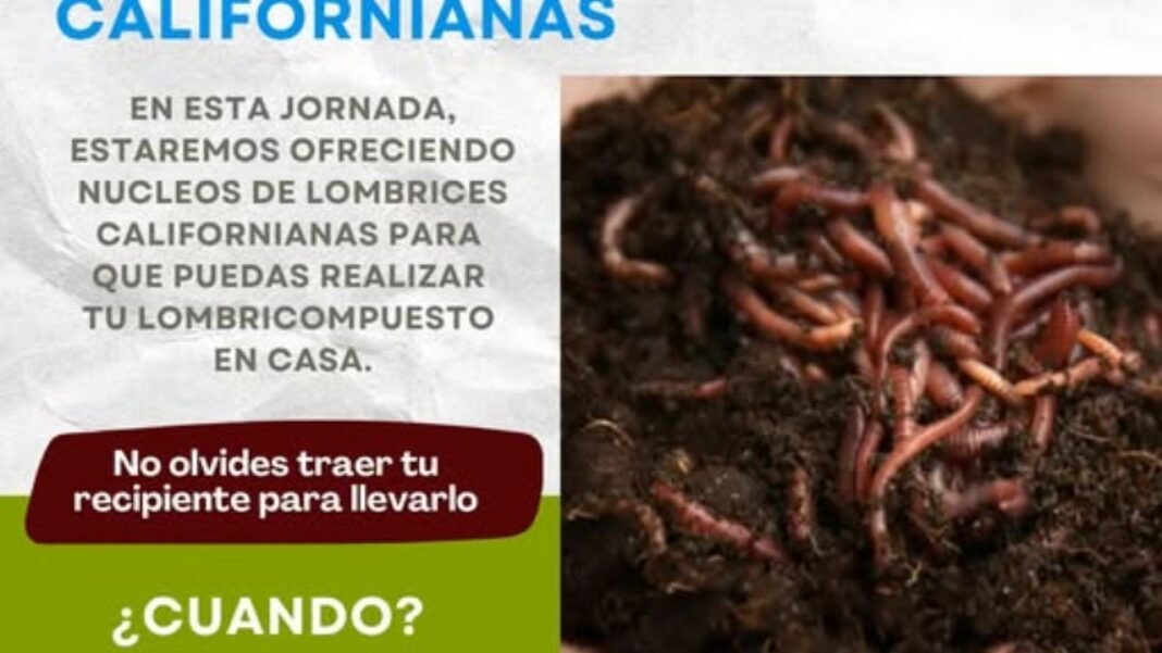 2287461-villa-giardino-impulsa-el-canje-de-compost-y-nucleos-de-lombrices