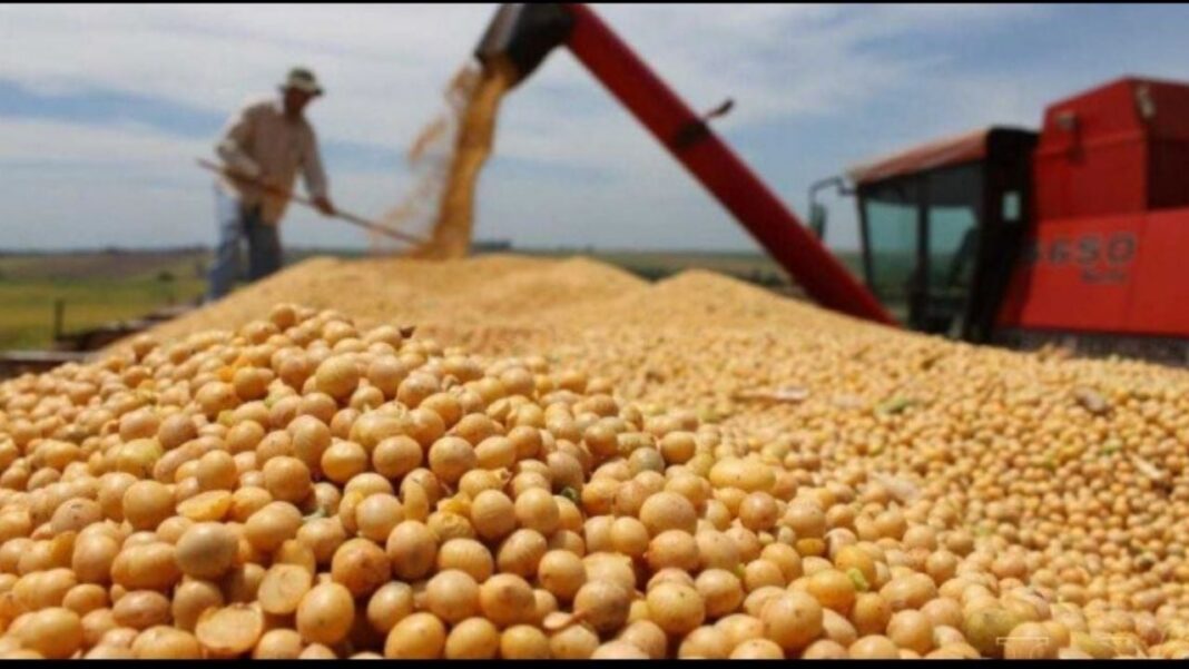 2310890-la-soja-sube-a-us-399-el-valor-mas-alto-en-15-meses