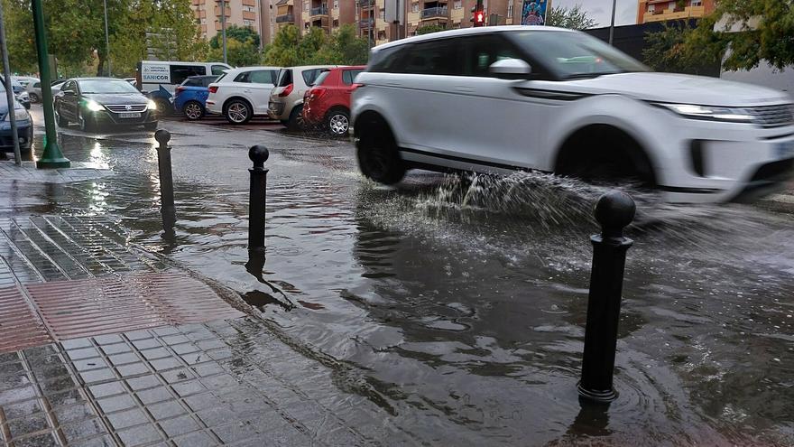 2315941-el-ayuntamiento-de-cordoba-alerta-estas-son-las-calles-y-avenidas-donde-puede-haber-m6902351b4624c